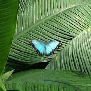 Meet your Posher, Elisabeth